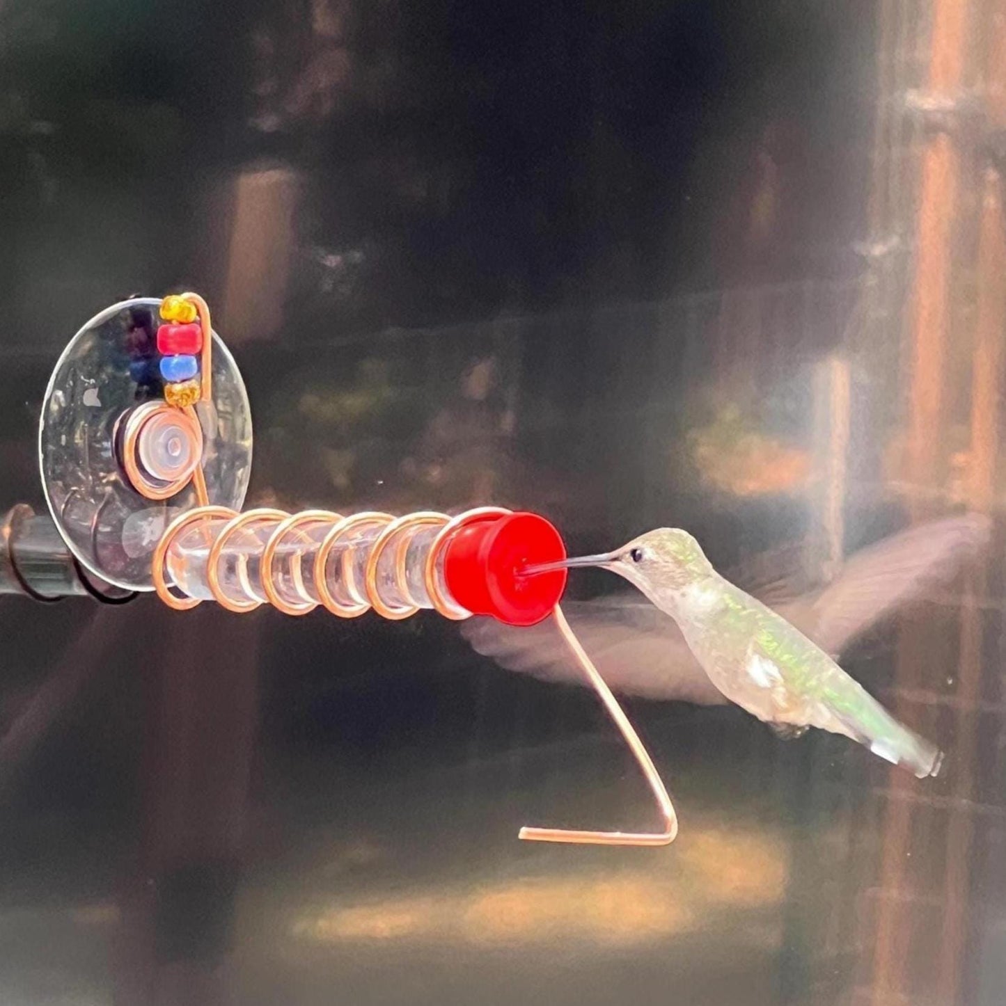 Test Tube Hummingbird feeder for window, Suction cup mount and Copper hummingbird feeder.