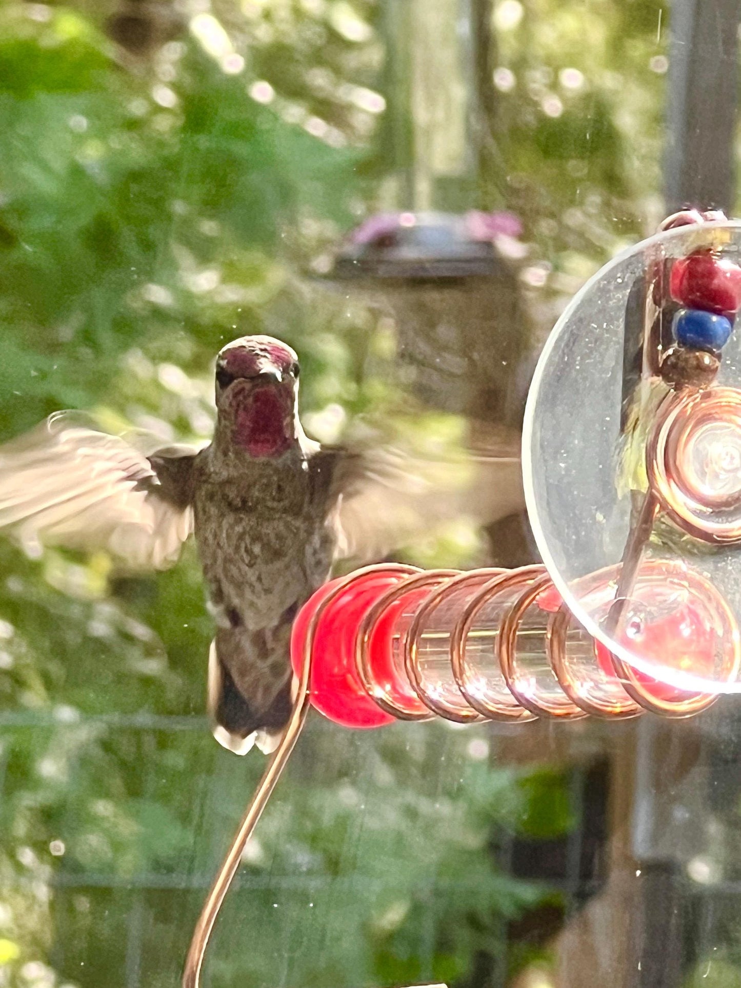 Test Tube Hummingbird feeder for window, Suction cup mount and Copper hummingbird feeder.