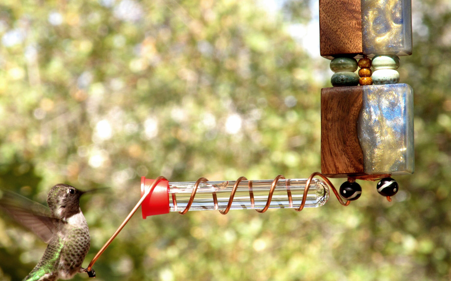 Replacement glass test tube for DIY hummingbird feeders with red cap, Set of 6.