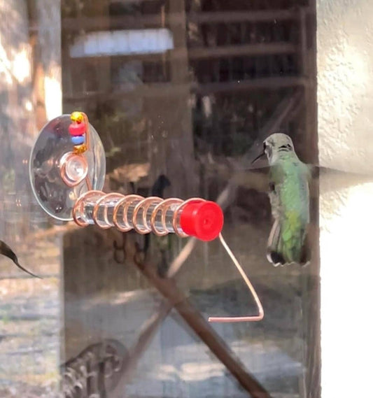 Test Tube Hummingbird feeder for window, Suction cup mount and Copper hummingbird feeder.